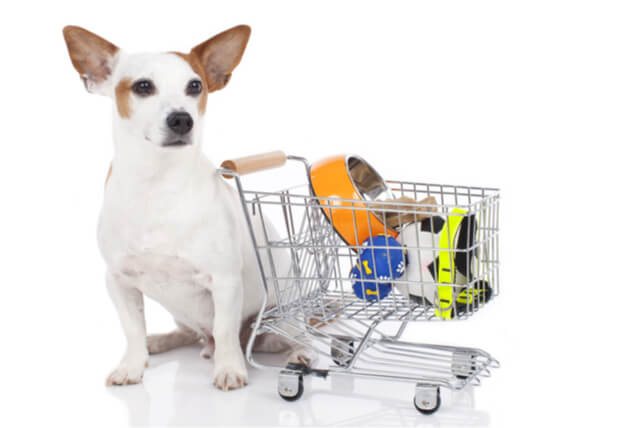shutterstock_1852814241