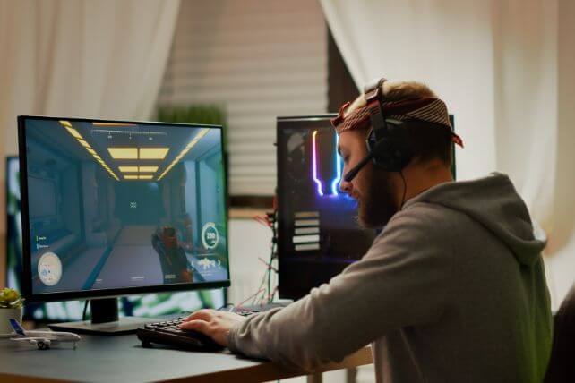 Video Game Developer