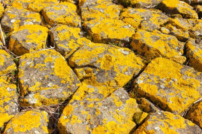 Uranium